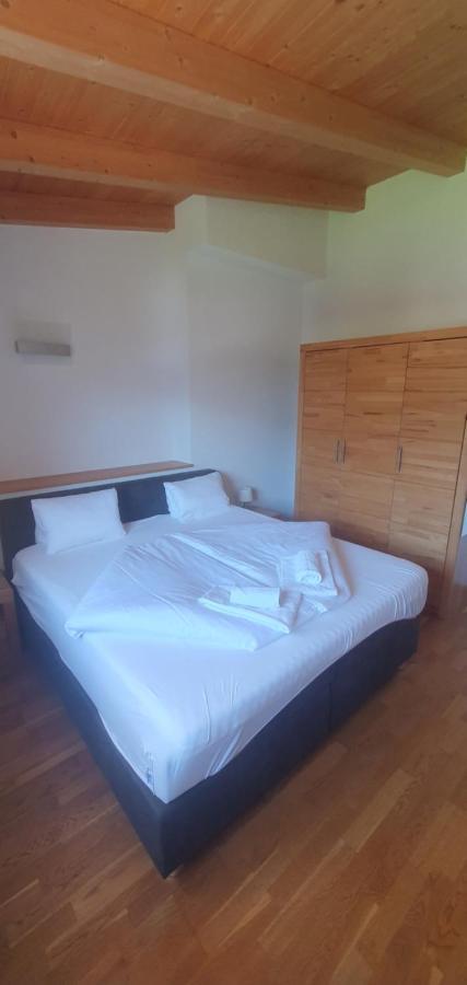 Apartment Hohe Tauern Piesendorf Zewnętrze zdjęcie
